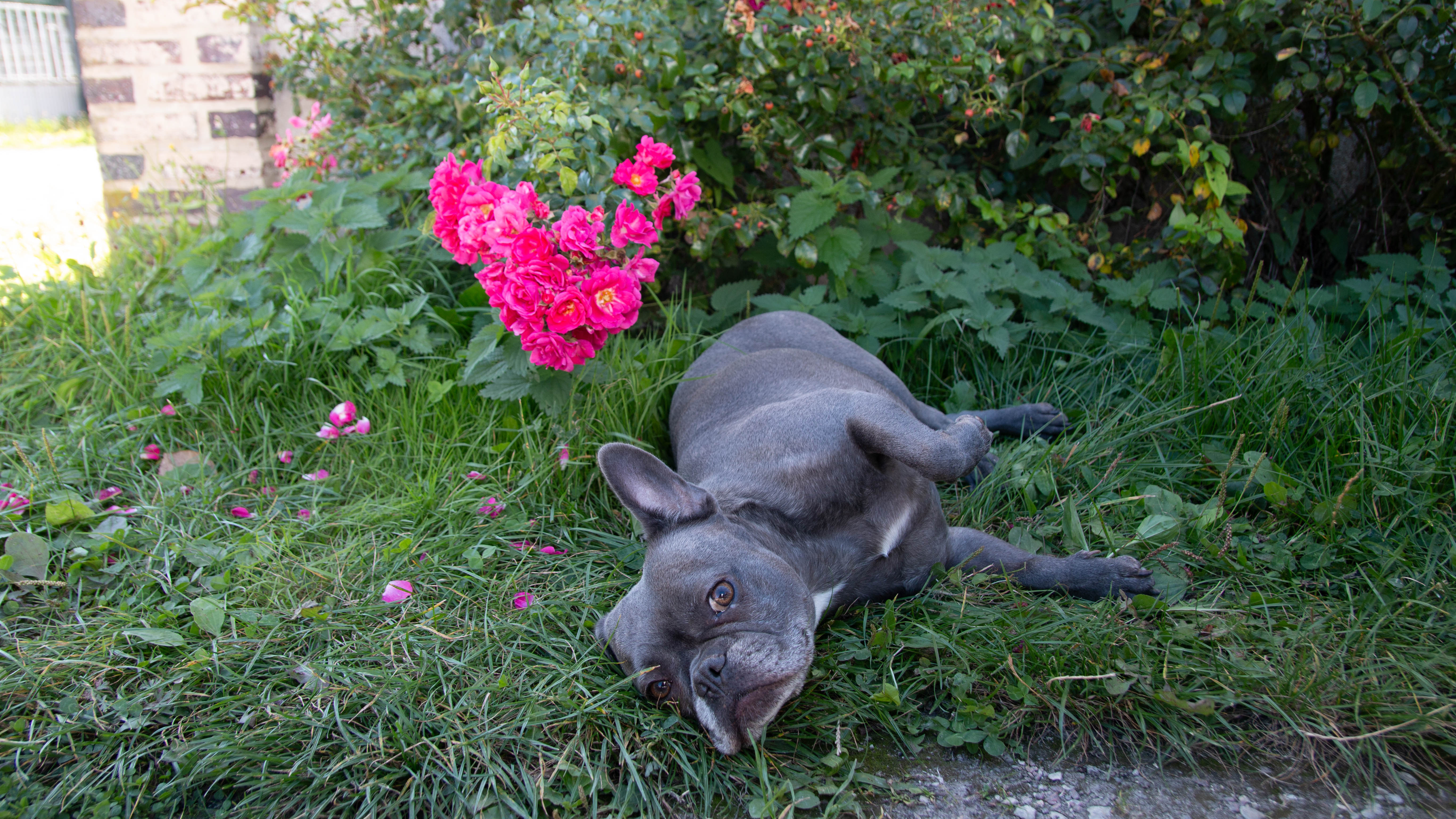 Photographie 1 - Canon