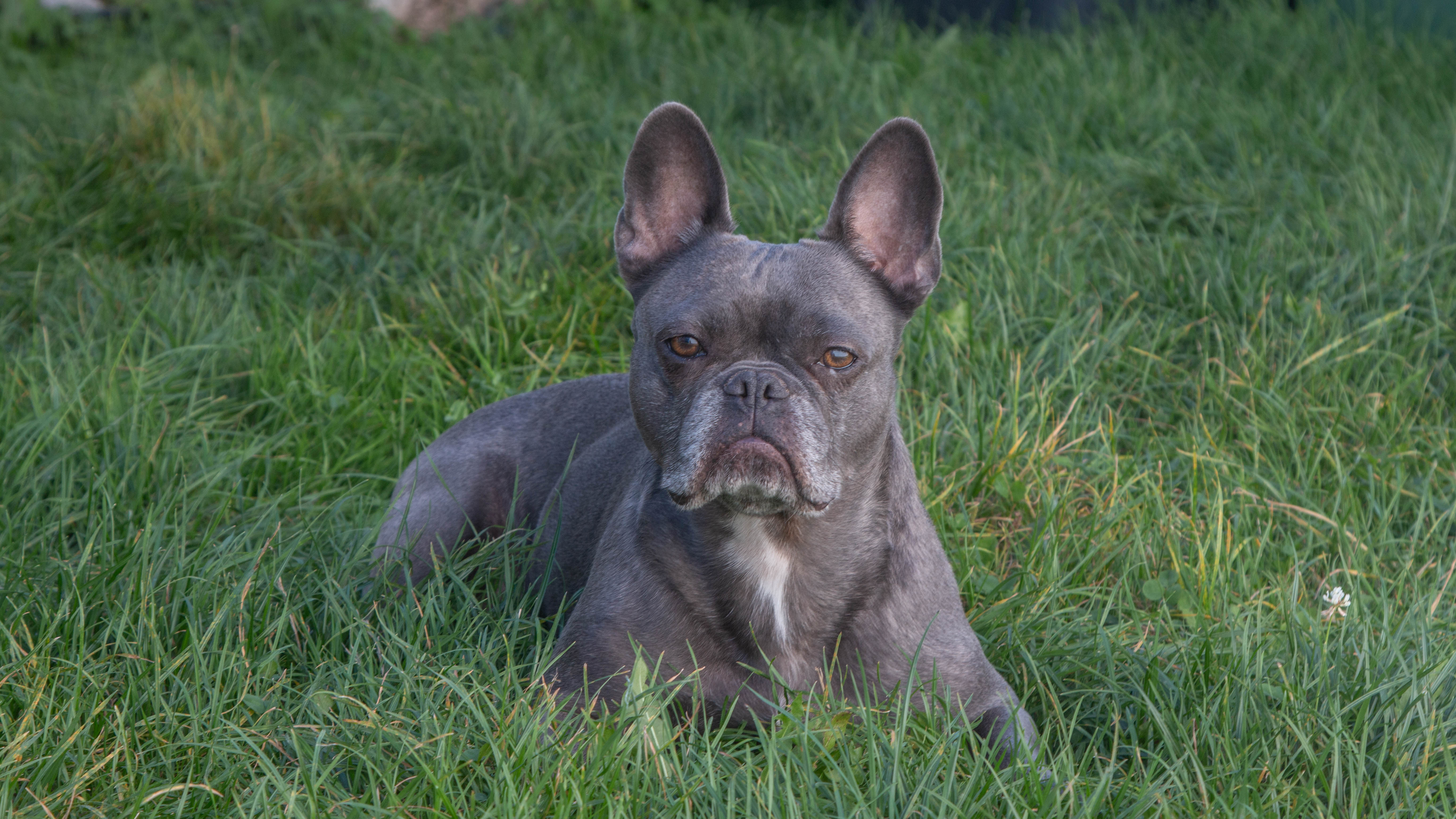 Photographie 2 - Canon