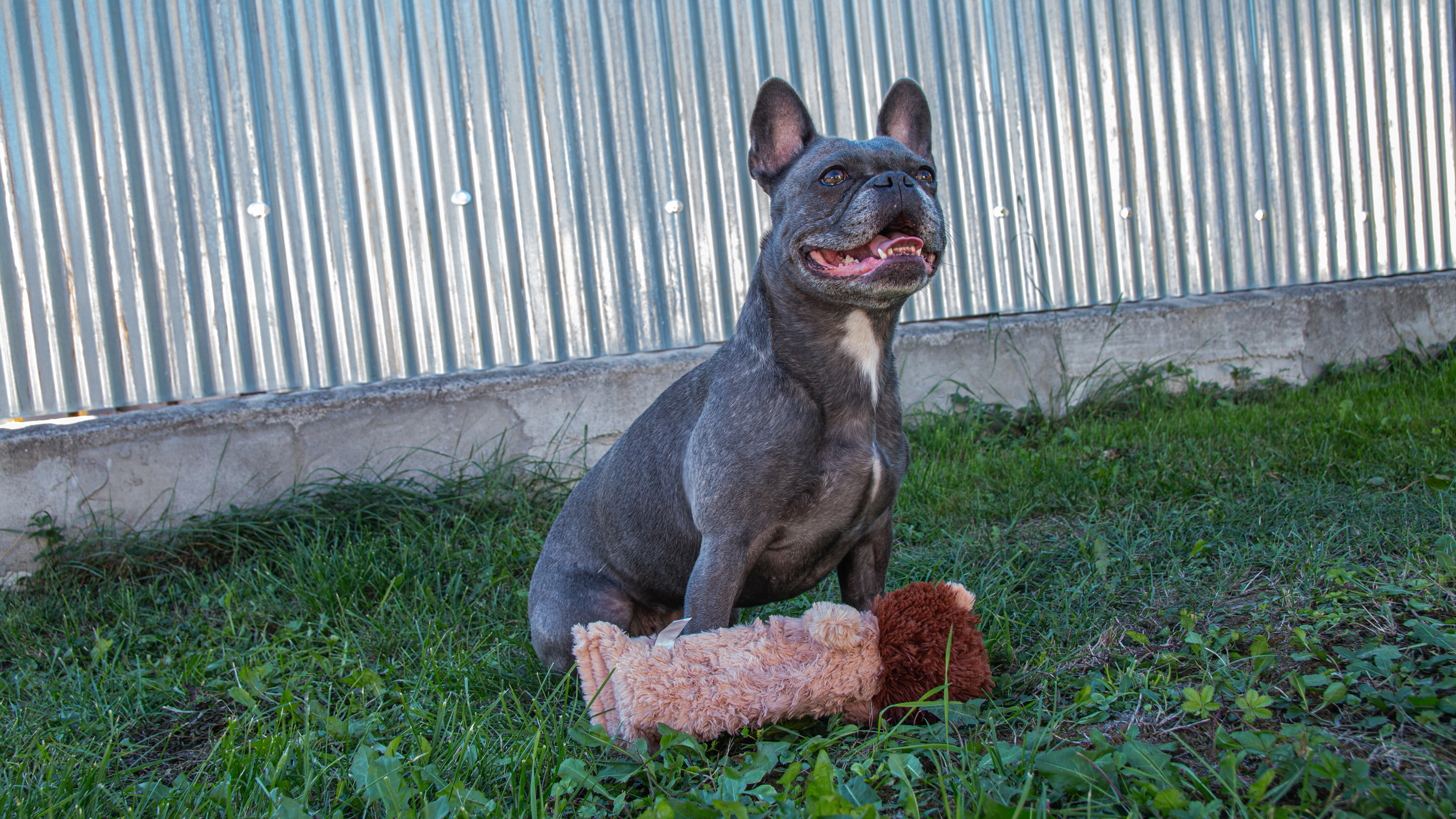 Photographie 3 - Canon